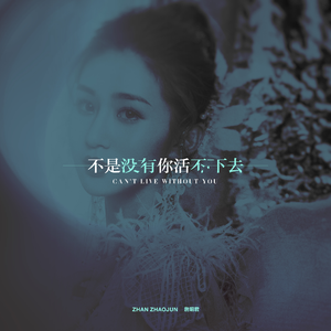 depixon同人动画合集密码
