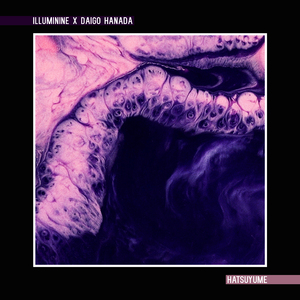 depixon同人动画合集密码
