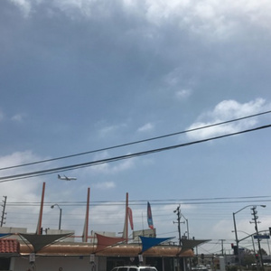 depixon同人动画合集密码
